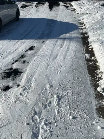 High Quality Leaf Pickup and Property Maintenance in Barrie, View more