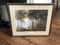 "Quiet Forest" by Gerald Coulson Framed Art AMAZING Deer Paintin