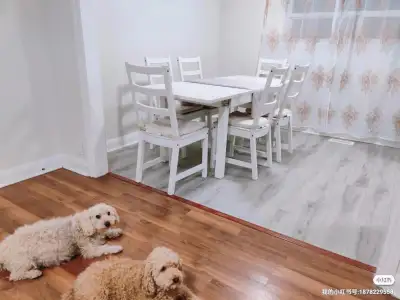 Two Bedroom House For Rent