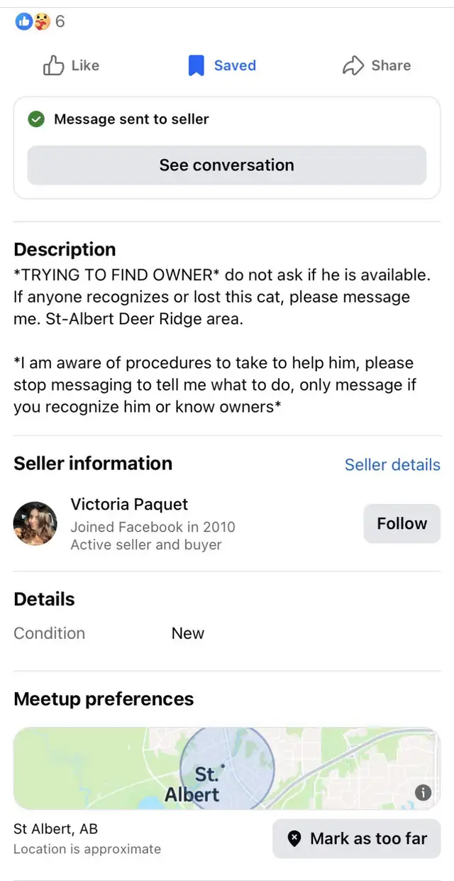 Beautiful Lost Kitty Cat— Needs to Get Home in Lost & Found in Edmonton - Image 3