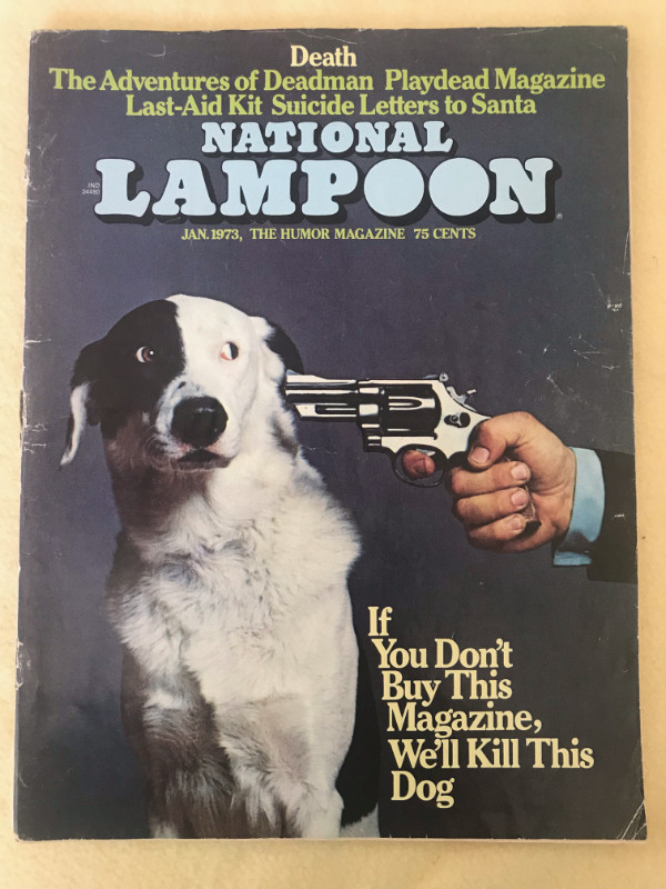 National Lampoon Magazines (20) in Magazines in Bedford - Image 3