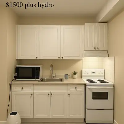 For Rent! 1-bed, 1 bath Unit in 162 Oak St, North Bay