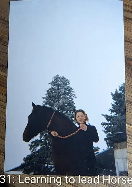 Learning Gentling horses539802913431234566