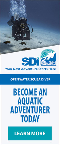 SDI Scuba Diving Open Water Course