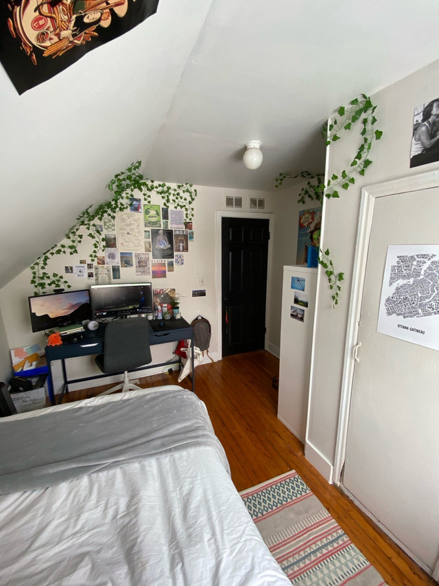 Beautiful 2 bedroom Summer Sublet! in Short Term Rentals in Kingston - Image 2