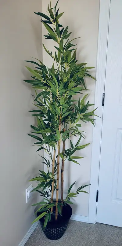Faux Bamboo Tree, View more