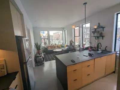 ✨MOIS DE JANVIER GRATUIT- RECHERCHE UN/UNE COLOC SUR LE PLATEAU - CHAMBRE DISPO DES MAINTENANT✨ La c...