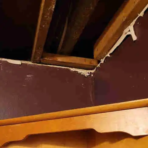 volunteer needed for plumbing problem