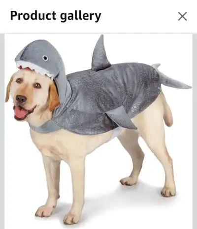 Brand new, unused - as soon as we brought it home, realized it wasn't the right size for our puppy (...