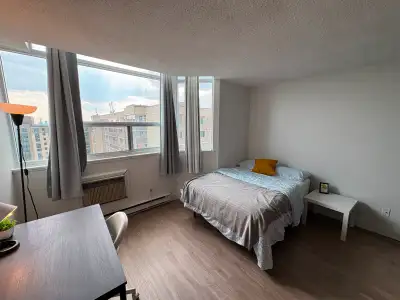 A fully furnished private room is available for rent in a shared apartment located at 190 Lees Avenu...