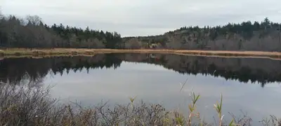Camp overlooking McCormicks cove.All road frontage.Nature lovers paradise.Very private