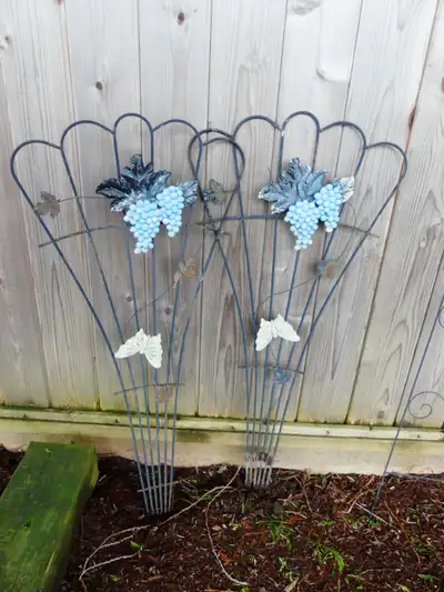2 Grape Trellis', View more