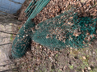 Chain Link Fence