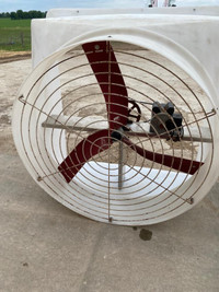 Fan with wind cover