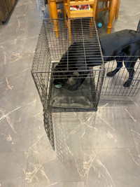 Pet Lodge crate - barely used 