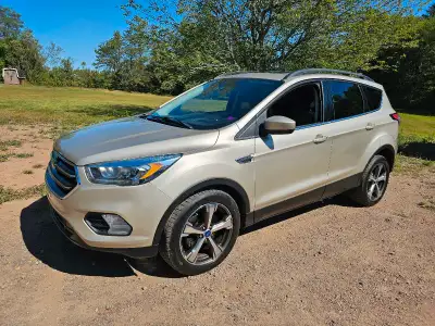 2017 FORD ESCAPE SE in excellent condition like new NO RUST professionally detailed 1.5L 4 cylinder...