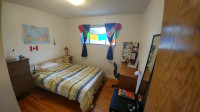 Roommate Wanted Furnished Main Floor Close to UofS, RUH, 8th St