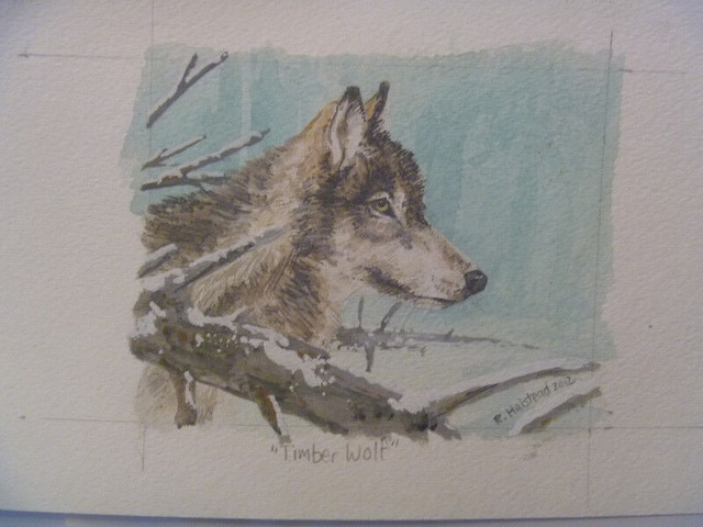 Timber Wolf  ORIGINAL ART - various sizes in Arts & Collectibles in Winnipeg - Image 3