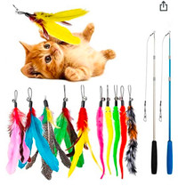 Feather Catcher Cat Toys, 2 Retractable Cat Stick Toys and 10