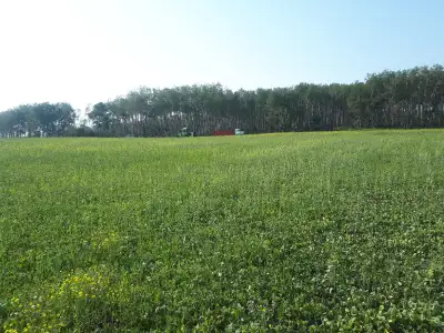 Prime farmland in the RM of Livingston, no rocks, only water on SE corner of eastern quarter. 265 cu...