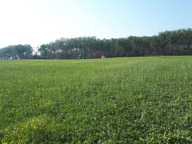 SW&SE 26-34-32 W1 in Land for Sale in Saskatoon - Image 2