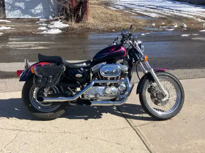 Custom 883 Sportster. Former show bike. Originally 883, bored out to 1200. Fat bob tank, drag bars,...