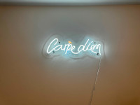 Carpe Diem LED neon sign