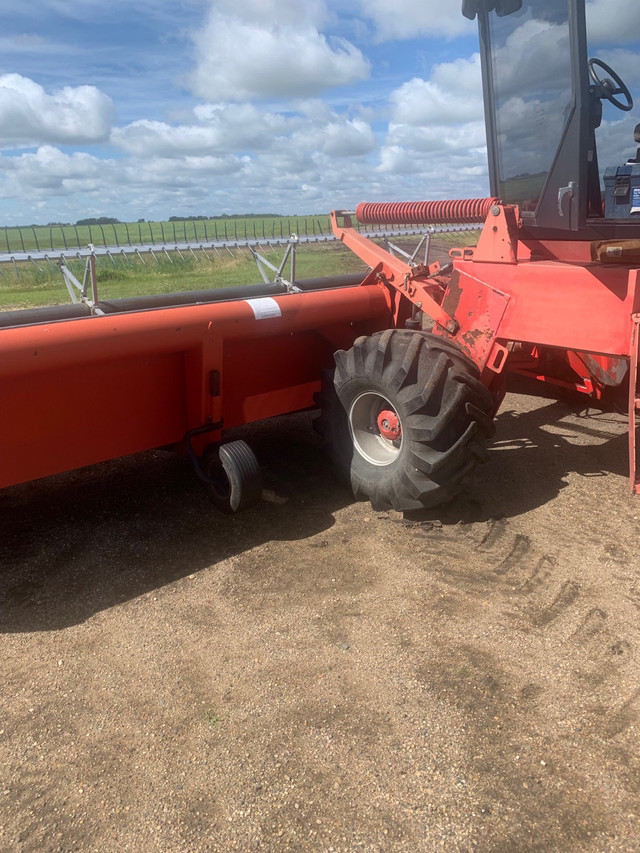 Massey swather  in Farming Equipment in Prince Albert - Image 3