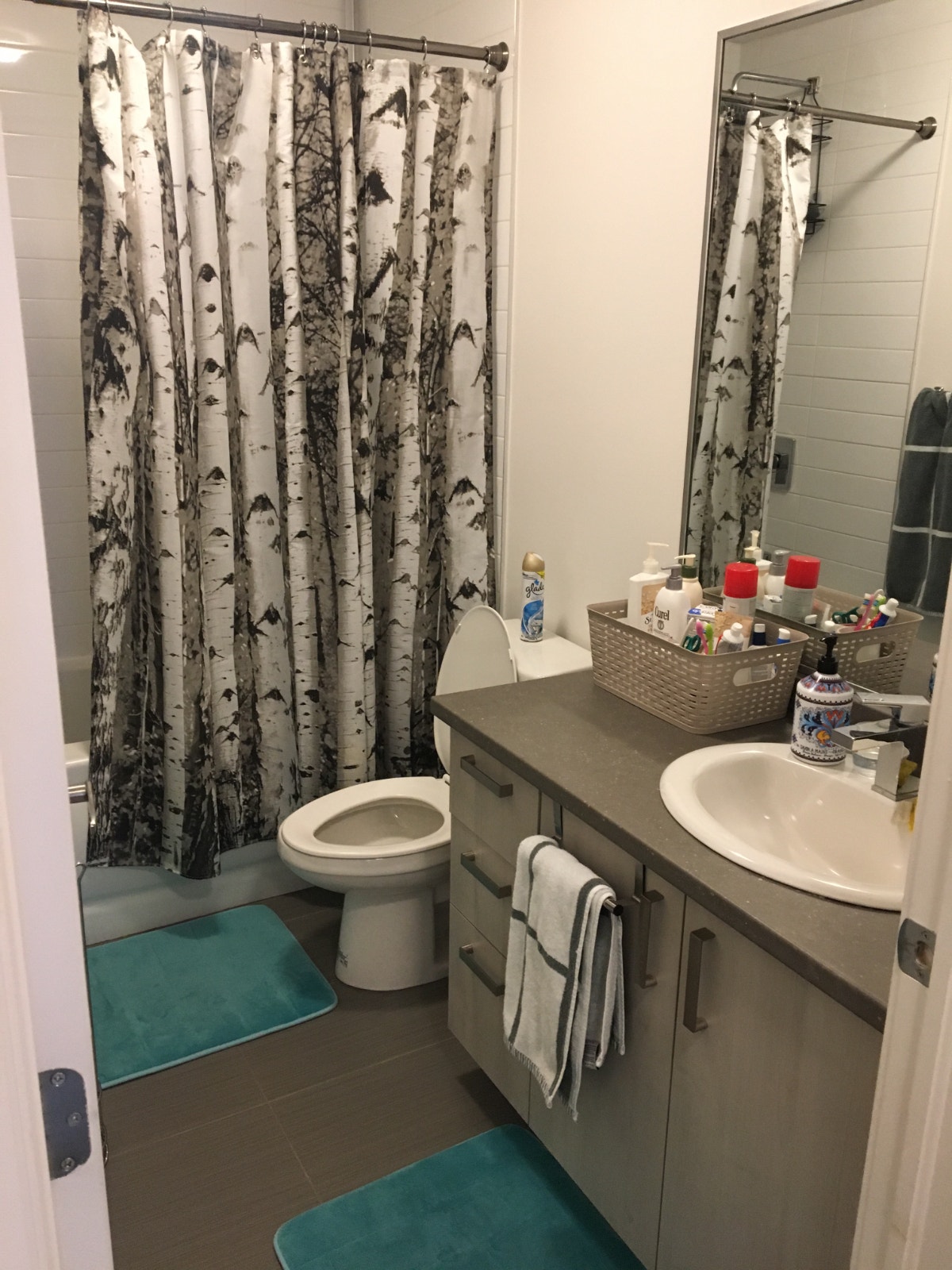 4220 Rue de Salaberry — photo 3
