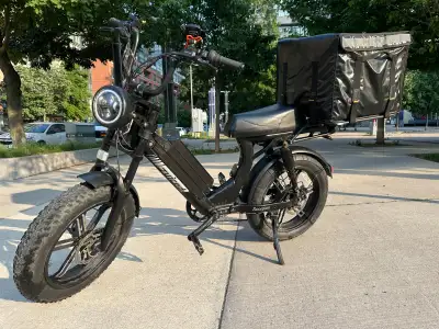 Electric Cargo Bike Long Range, View more