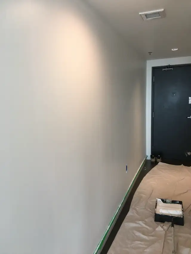 Experienced painter65561289442433121