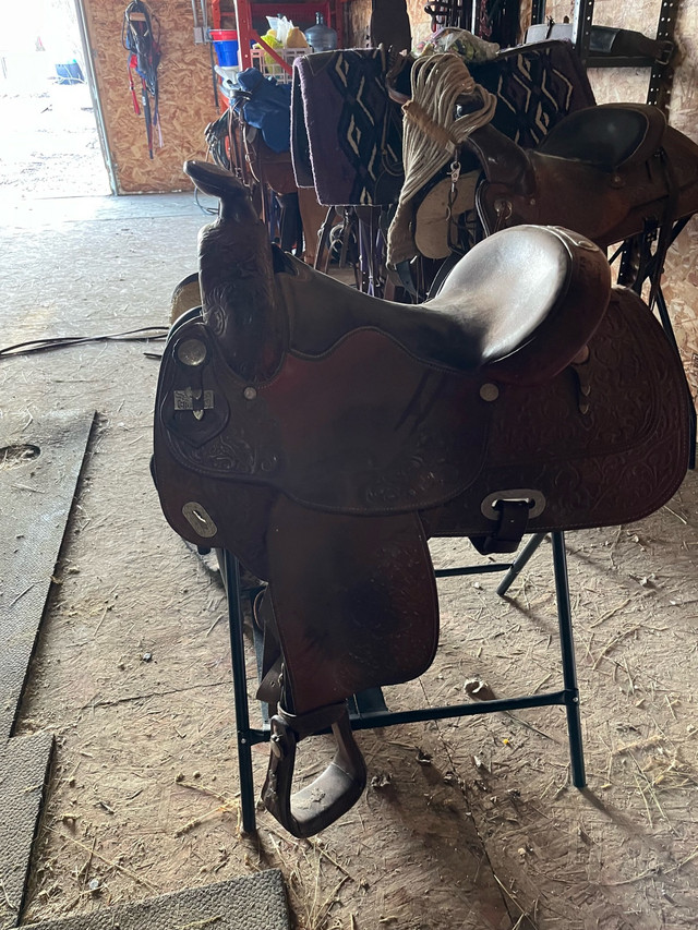 Bighorn Saddle in Equestrian & Livestock Accessories in Moose Jaw