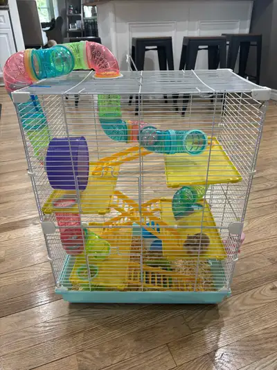 Hamster with everything!, View more