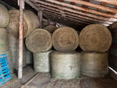 Hay for sale, View more