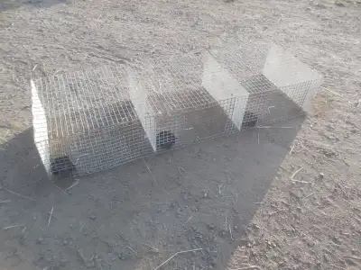 Wire rabbit cages, View more