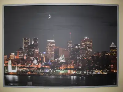 TRÈS GRAND CADRE DÉCORATIF (15$ chacun), View more