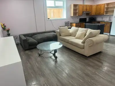 2 bedrooms walkout basement for rent