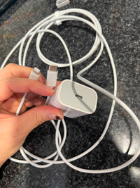 iPhone earplug and charging