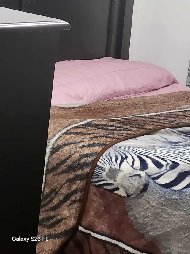 chambre à louer meublé ou non meublé, Montréal Nord in Room Rentals & Roommates in City of Montréal - Image 5