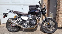 Zard Low Exhaust for Scrambler 1200 XC or XE