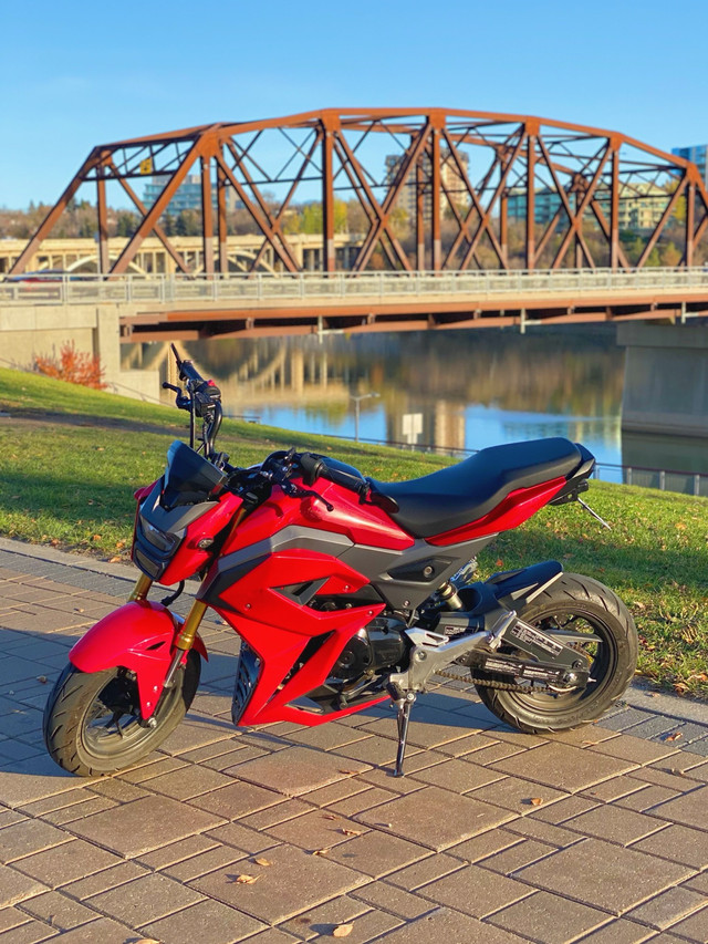 2017 Honda Grom  in Sport Bikes in Saskatoon