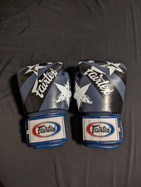 Fairtex 12 oz gloves 