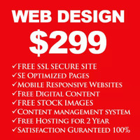 SEO web website design | CALL 6477454587 | 2 YEAR FREE HOSTING