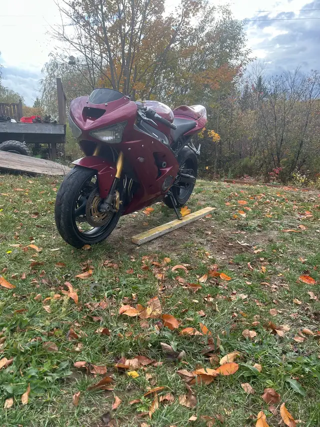 2004 zx6r in Sport Bikes in Truro - Image 8