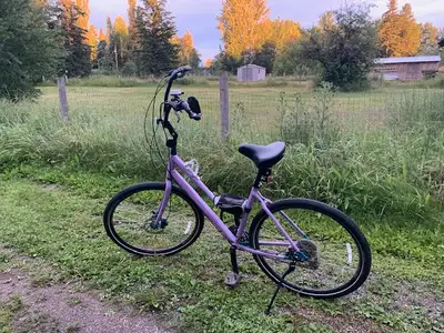 Customized Fun & Beautiful Bicycle with High Seat and Handlebars, View more