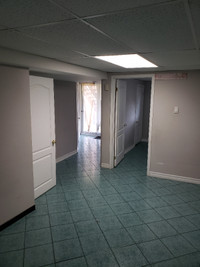 Newly built 1 bedroom walkout basement/apartment w/separate Ent.