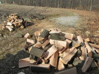 Cut and split firewood