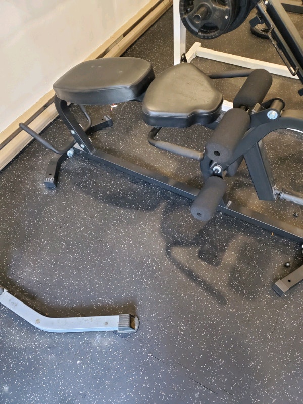 Northern lights leg extension/leg curl bench Exercise Equipment
