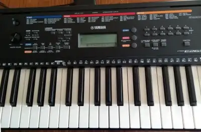 A perfect portable keyboard for someone learning to play. It has 5 octaves, stereo speakers, many in...