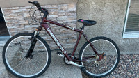 Diamondback Javelin Mountain Bike